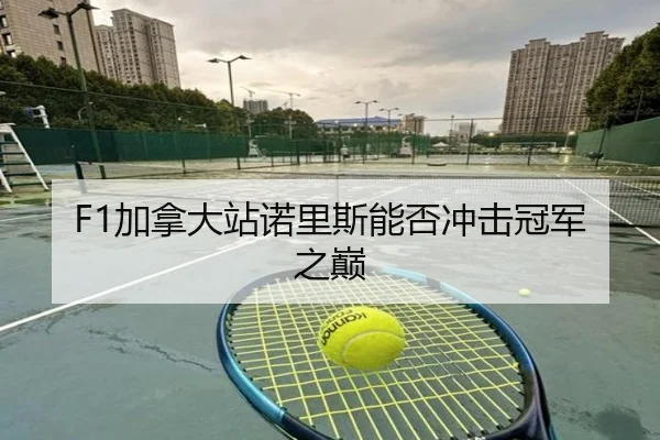 F1加拿大站诺里斯能否冲击冠军之巅